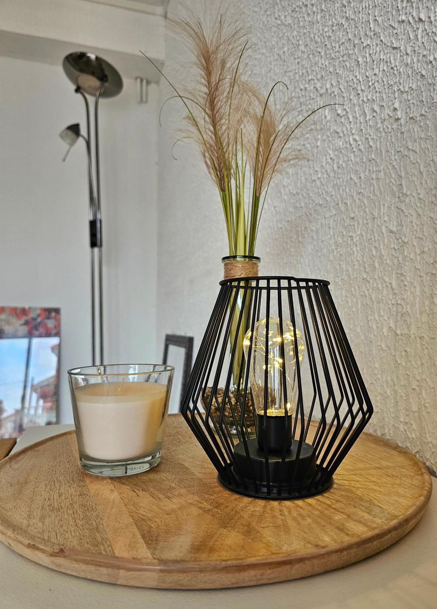 Appartement Lumineux Et Calme En Rez-De-Jardin Castanet-Tolosan 外观 照片