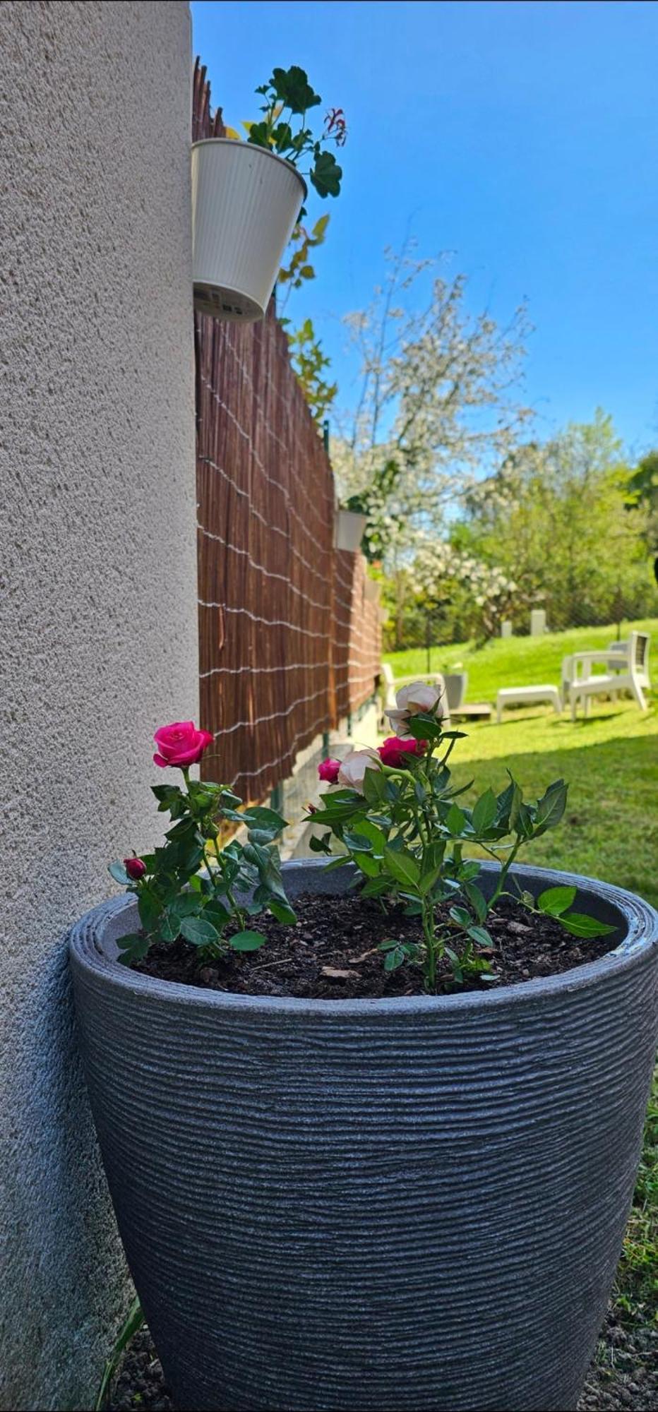 Appartement Lumineux Et Calme En Rez-De-Jardin Castanet-Tolosan 外观 照片